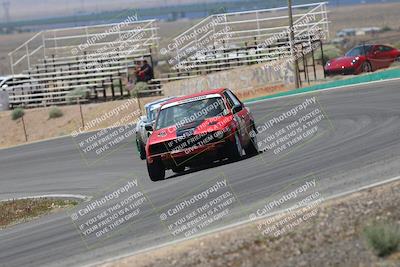 media/May-03-2025-Lucky Dog Racing (Sat) [[206de64b9d]]/Turn 4 B (1150am-130pm)/